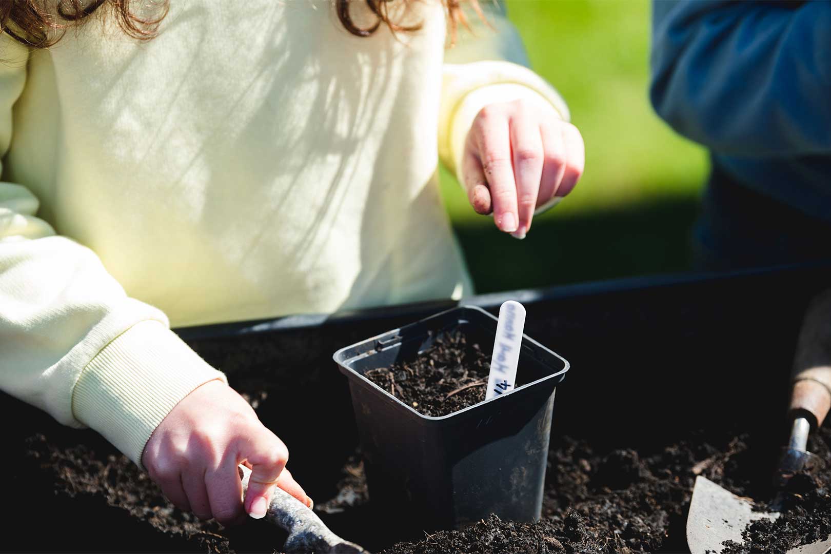S4C Yr Egin’s new garden to give nature a helping hand